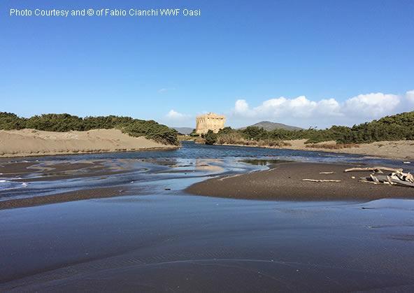 Capalbio Vacanze Bagian luar foto